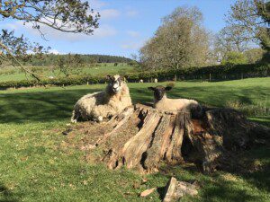 Weekend Break in North Yorkshire